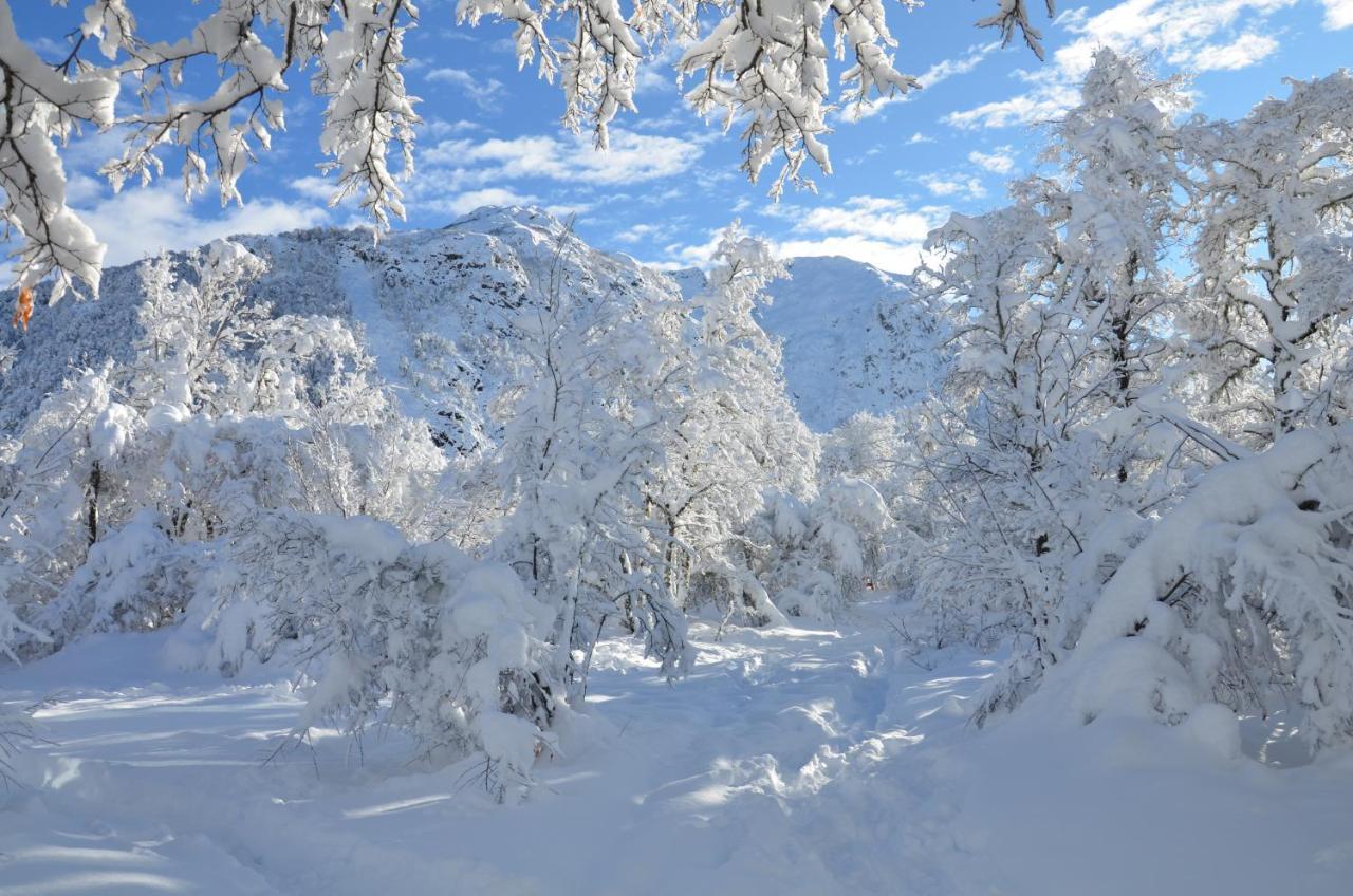 Chalet Cipres